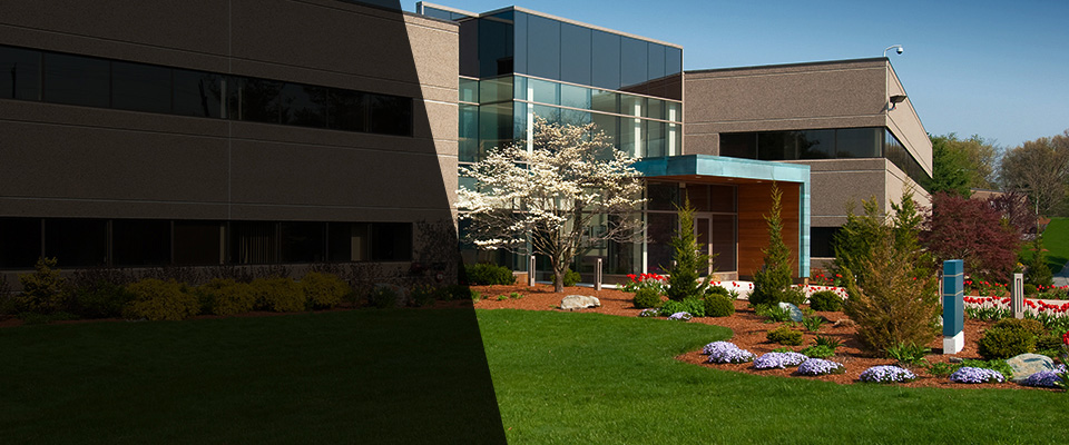 Grand Terrace Landscapers