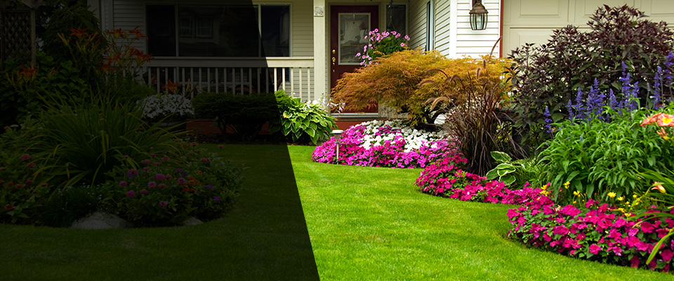 Grand Terrace Landscapers