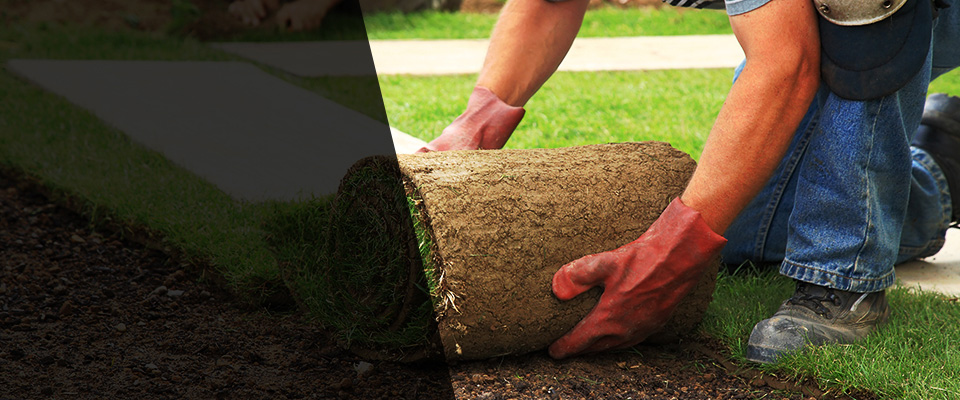 Grand Terrace Landscapers